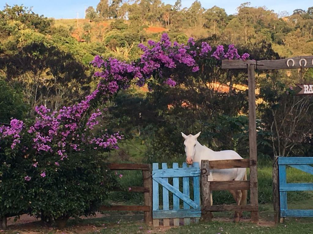 סרה נגרה Fazenda Paisagem Chales מראה חיצוני תמונה